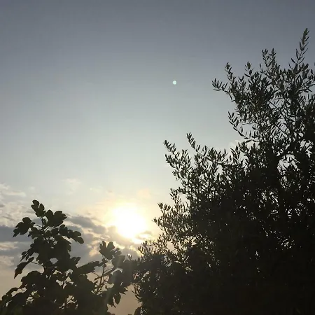 Agriturismo Macole Fattoria Con Spuntini Séjour à la ferme *