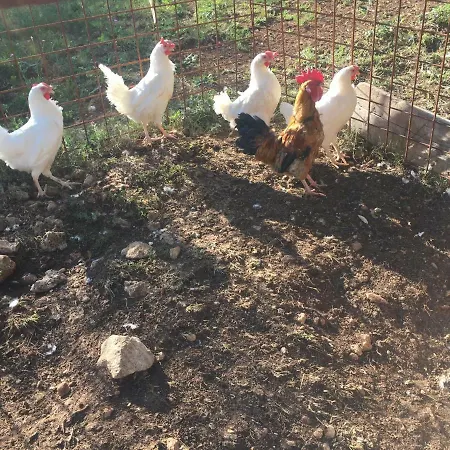 Séjour à la ferme Agriturismo Macole Fattoria Con Spuntini