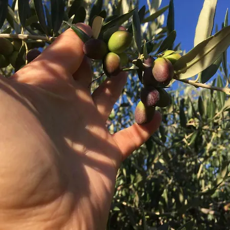 Agriturismo Macole Fattoria Con Spuntini Vérone