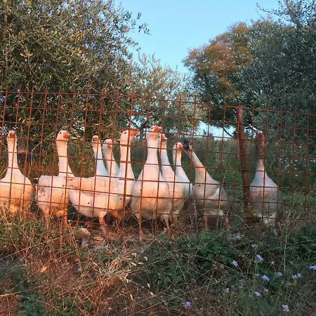 Agriturismo Macole Fattoria Con Spuntini Séjour à la ferme